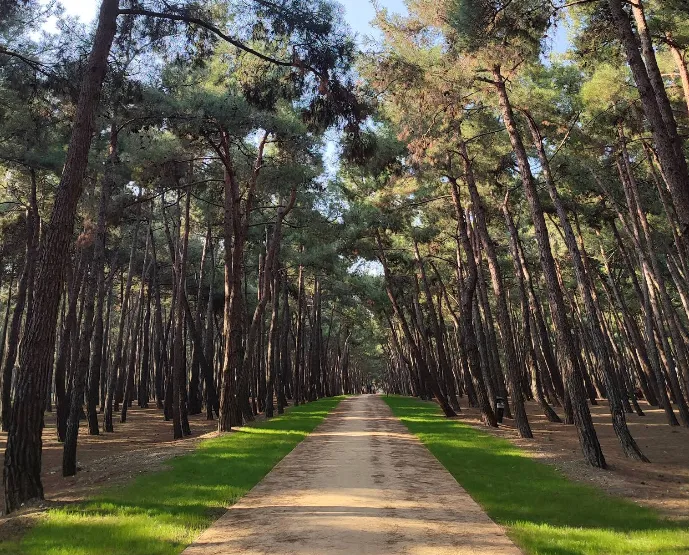 1_Florya Atatürk Forest
