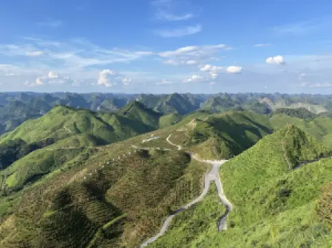 Top 10 Spring Outings in Hechi