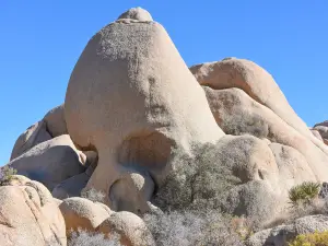 Skull Rock Trail