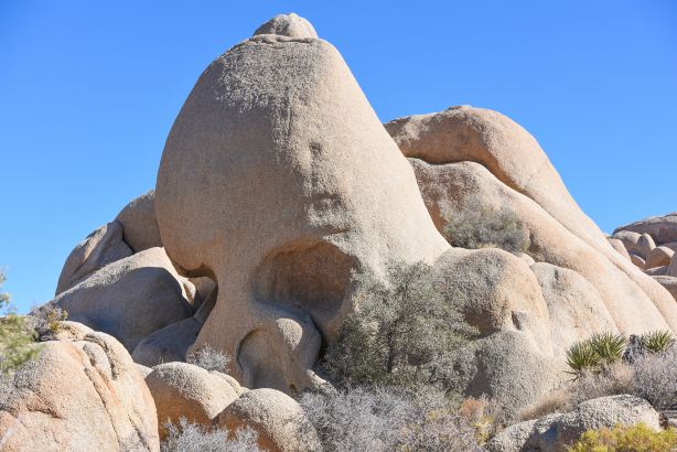 Skull Rock Trail