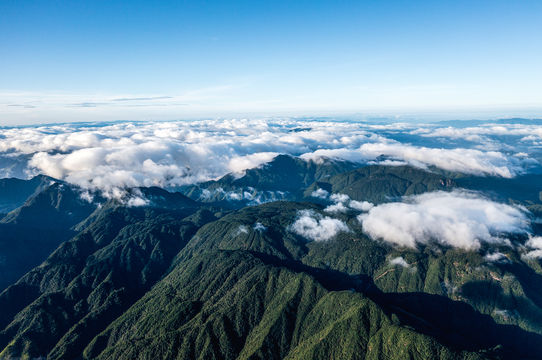 Baishanzu Scenic Area