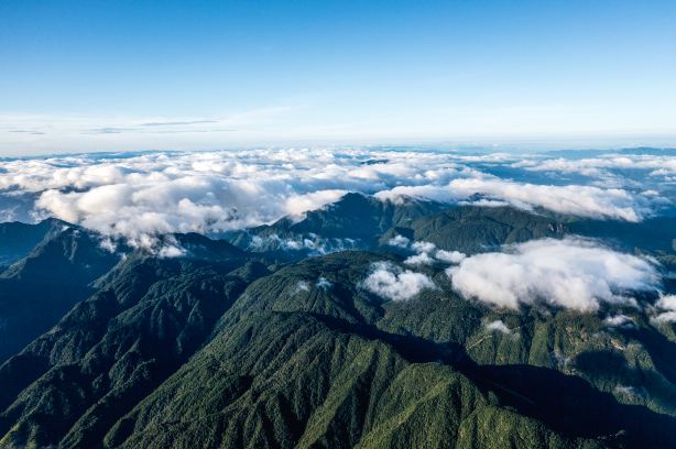 Baishanzu Scenic Area