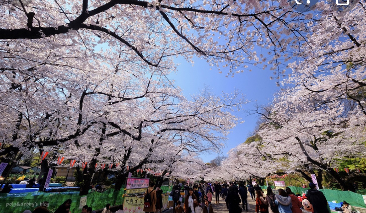 上野公園旅遊攻略指南 上野公園評價 上野公園附近推薦 Trip Com