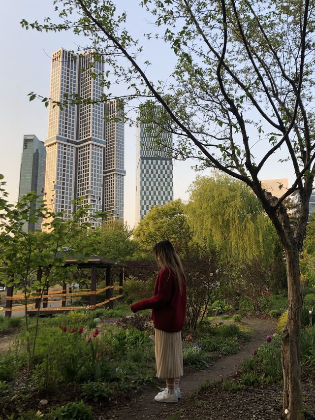 [서울숲] 서울숲 나들이