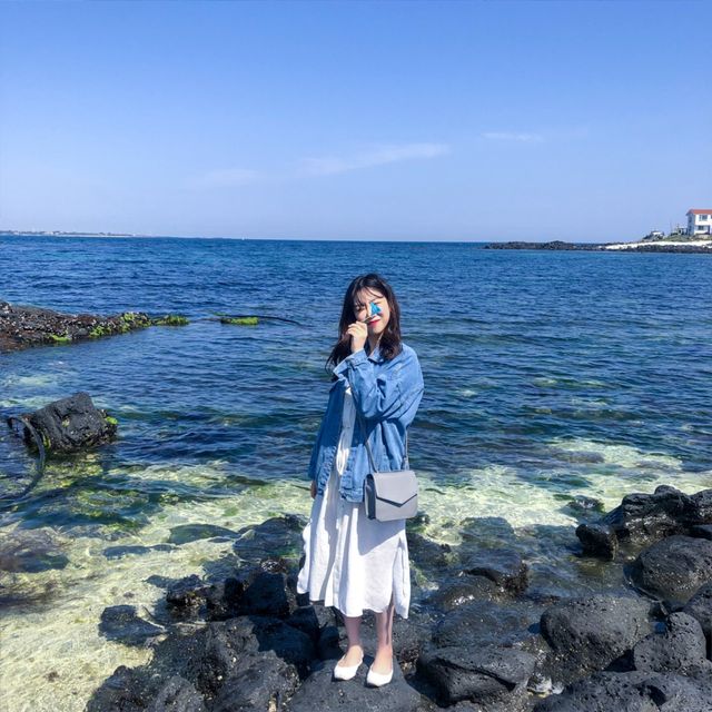 보기만해도 시원해지는 산호해변