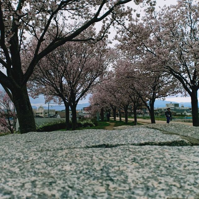 Sayamaeki museum