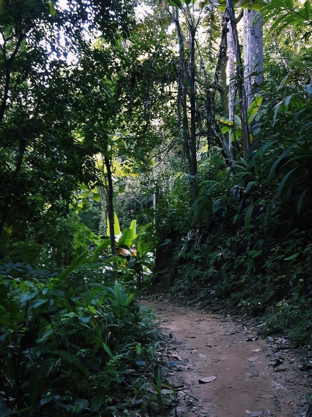 Tallest and best waterfall in Chiang Rai