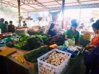 Touring at the local market 