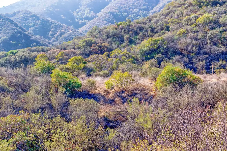 Jinlong Mountain National Forest Park