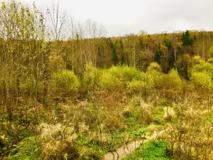 Weihu Mountain National Forest Park