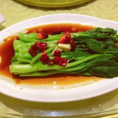 Sporvejen張用戶圖片