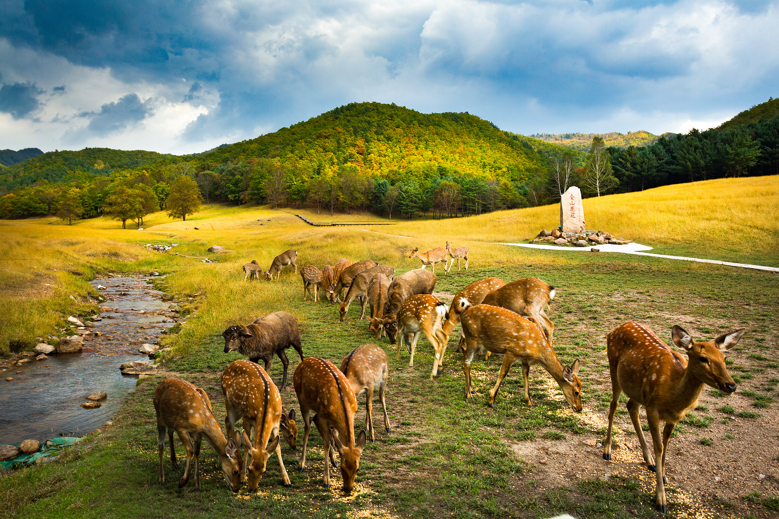 2025 Yichun Travel Guide: Must-see attractions, popular food, hotels, transportation routes (updated in July)