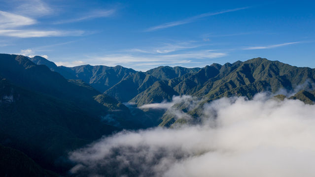 Jiulong Mountains Nature Reserve