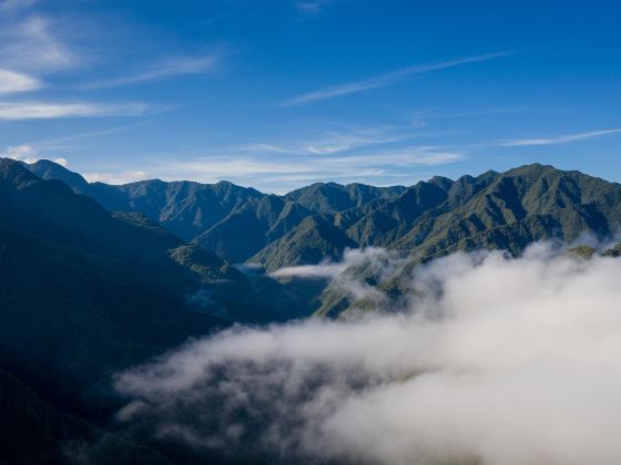 九龍山