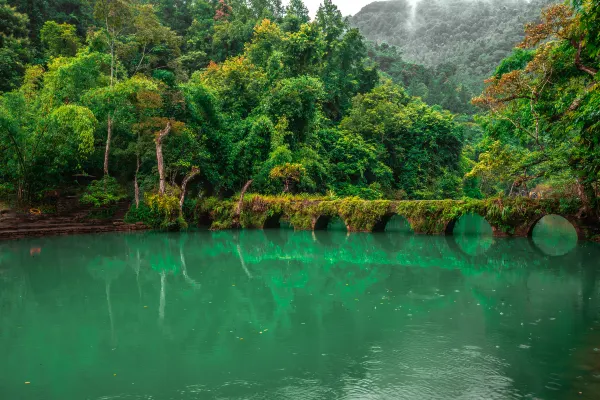 Hotels near Upper Section Of Water Forest