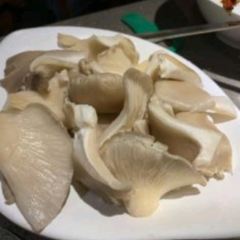 Huopenjingmala Fish (chengdonglu) User Photo