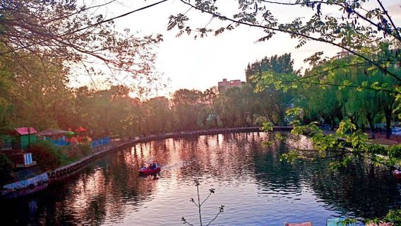 Ван Чунг Парк