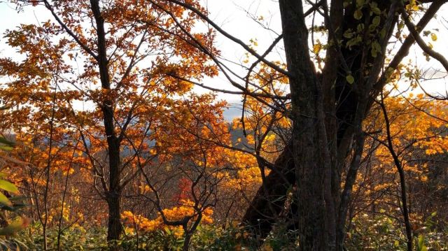 모이와산