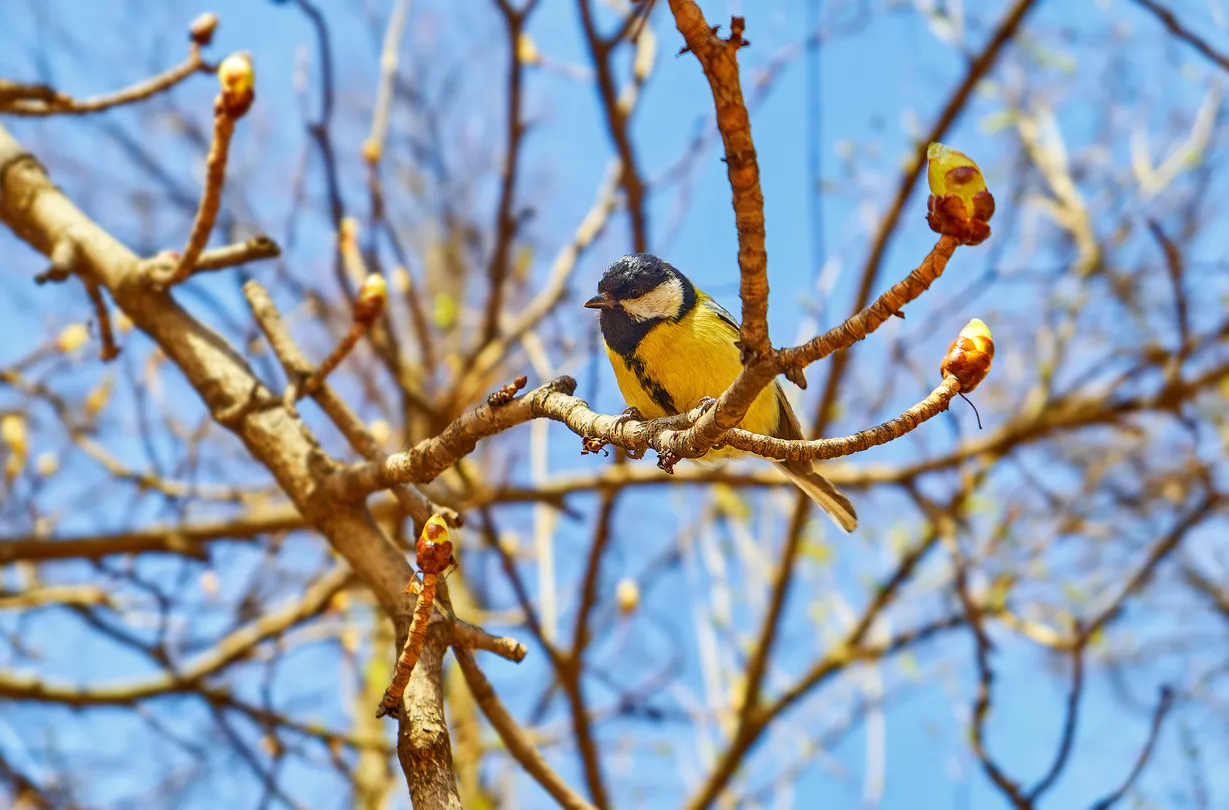 2_西安滻灞國家濕地公園