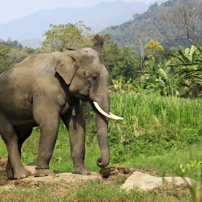 ホテル アル マディーナ 口コミ