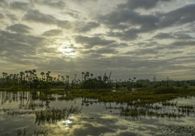 Changzhi National Urban Wetland Park