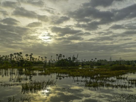 Changzhi National Urban Wetland Park