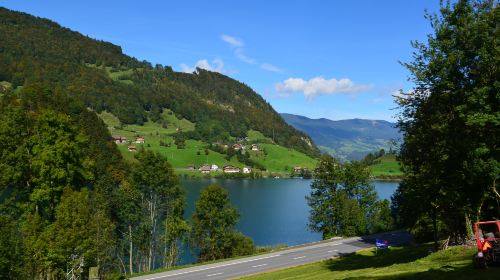 Swiss Sheep Farm