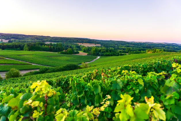 Taodu Peninsula Hotel