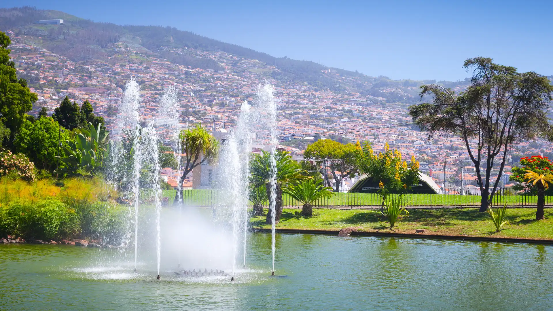Hotels near Santa Catarina Park