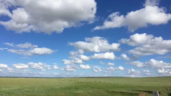 Дамаоци
