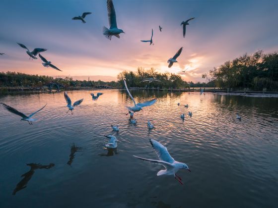 Menglishuixiang Wetland Park