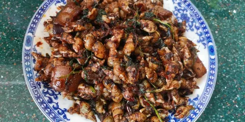 老丁頭麻辣燙(向陽小區店)