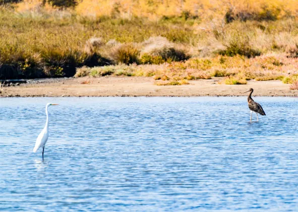 Vé máy bay Bodrum Đà Nẵng