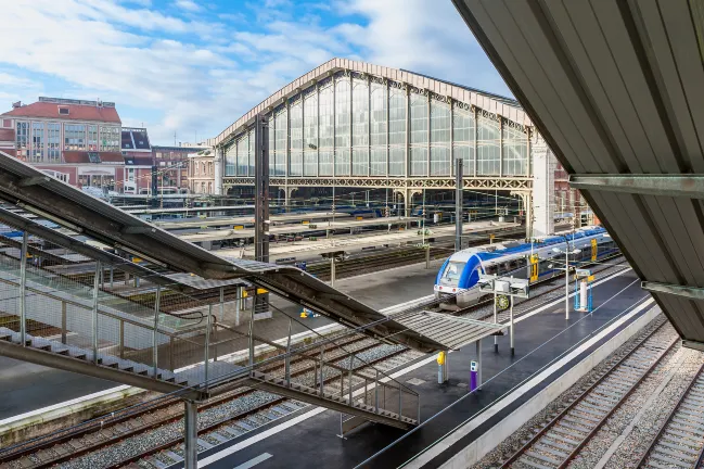 Hotel Ramah Hewan Peliharaan di Lille