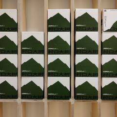 Cunkou Big Tree User Photo