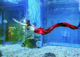 海之語海洋世界