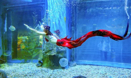 The Oceana World of Marine Life