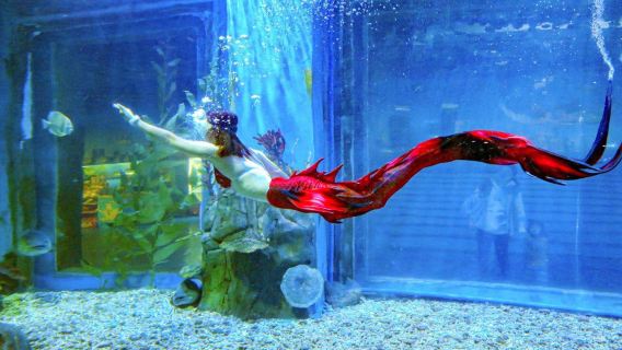 Haizhiyu Ocean World