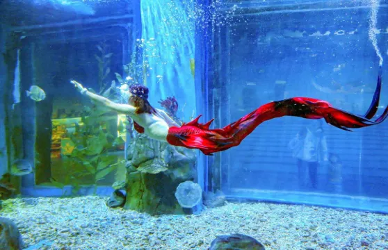 海之語海洋世界門票成人