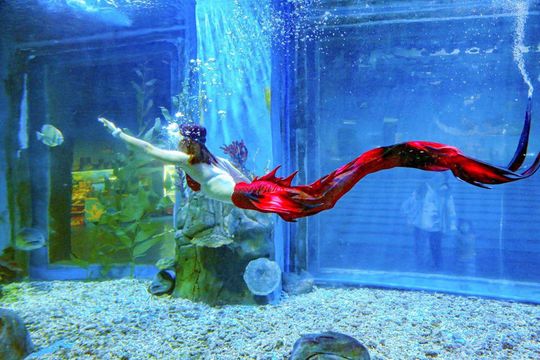 Haizhiyu Ocean World