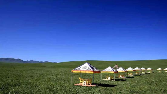 桑科草原是在甘肃省的夏河境内，桑科草原是藏族人民一个非常天然