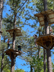 Zip Lines at Wind Creek State Park