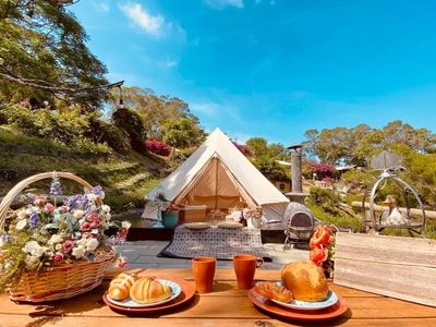 Green Fantasy Forest