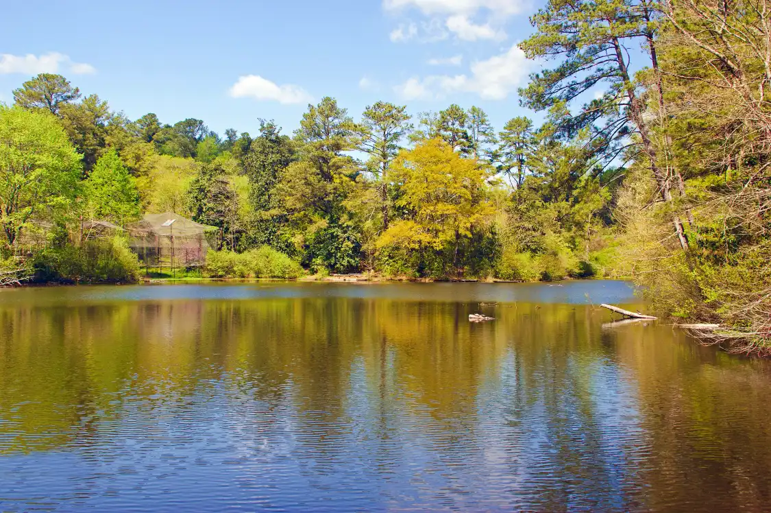 Hotels near Chattahoochee Nature Center