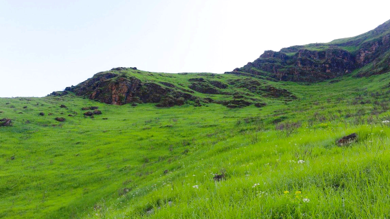 Dachigam National Park