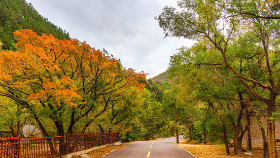 Wudaogou Scenic Area