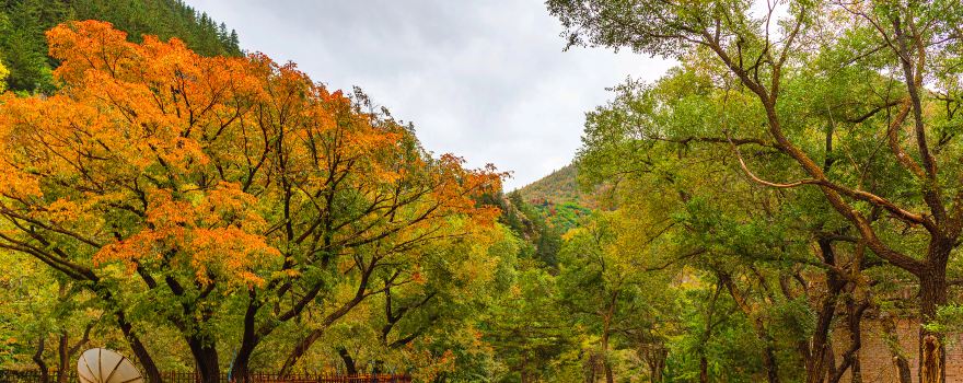 Wudaogou Scenic Area