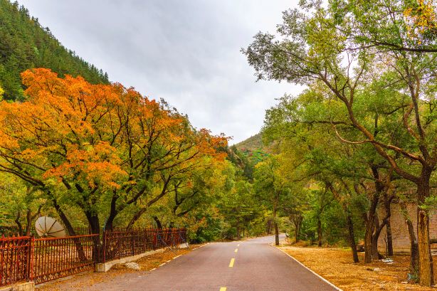 Wudaogou Scenic Area