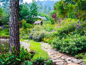 Taman Bougenville