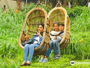 Dream Land Fun and Adventure